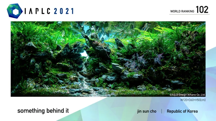 Aquascape inspiration