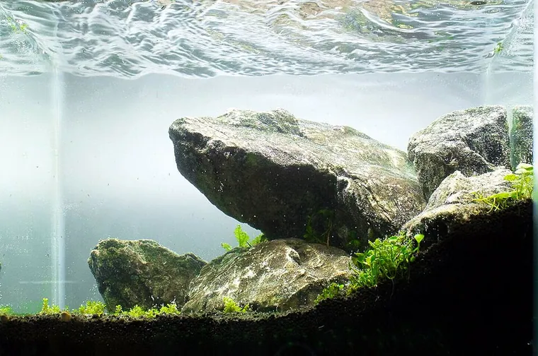 Aquascape inspiration