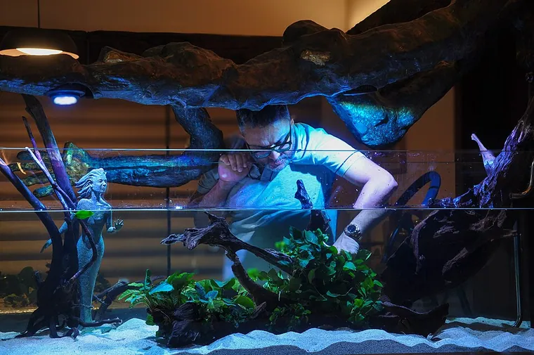 Aquascape inspiration
