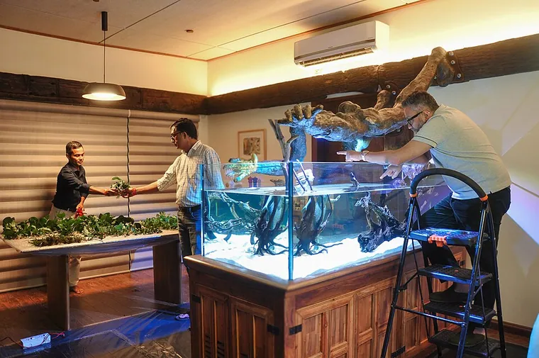 Aquascape inspiration
